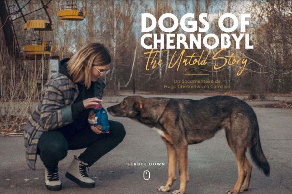 Le documentaire de Léa Camilleri sur Tchernobyl n’est pas juste « une histoire de chiens »