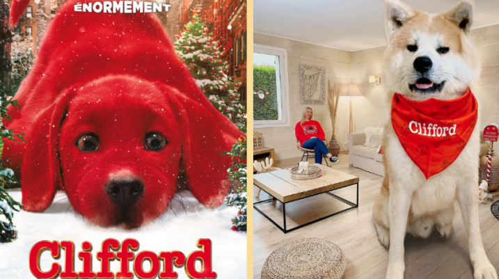 Pour la sortie de « Clifford », les influenceurs présentent leur chien un peu particulier