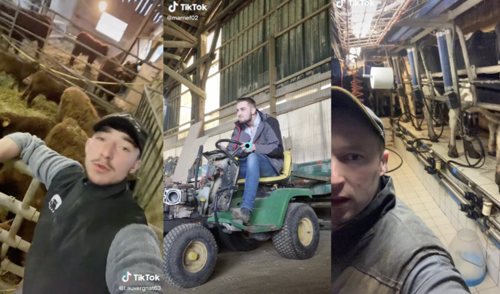 agriculteurs tiktok