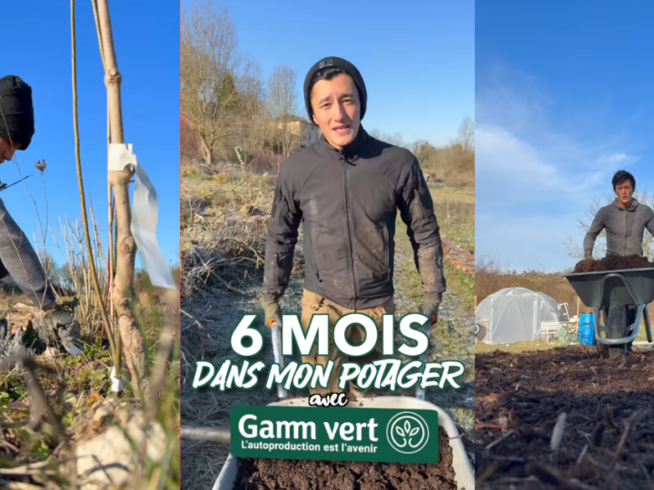 Avec Gamm Vert, Jigmé montre l’évolution de son potager sur 6 mois