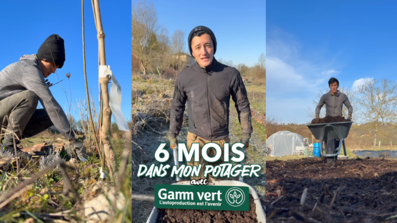 Avec Gamm Vert, Jigmé montre l’évolution de son potager sur 6 mois