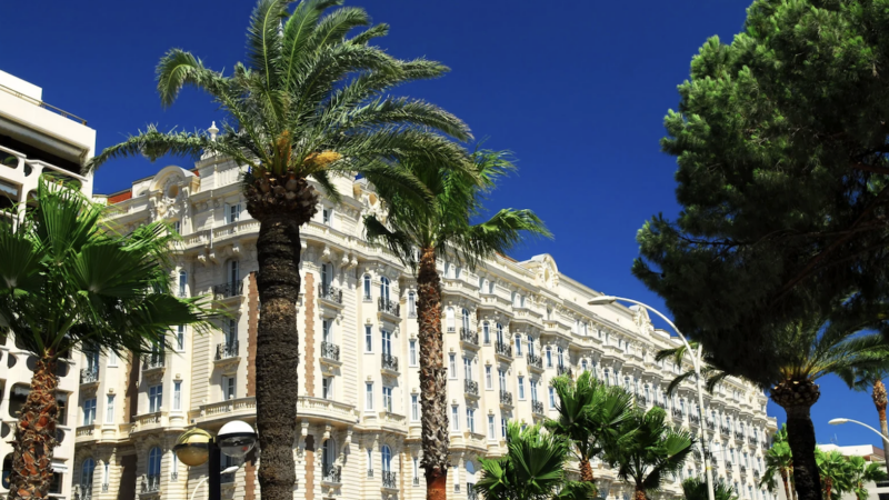 « Pour moi créateur de contenu, le Festival de Cannes est un réel levier business »