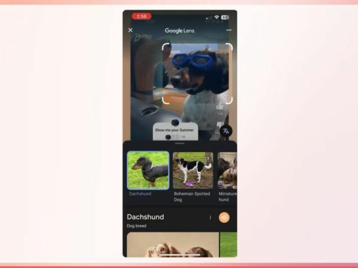 Google Lens débarque sur YouTube Shorts