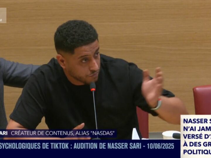 Nasdas, AD Laurent, Julien Tanti… Que faut-il retenir de leurs auditions à l’Assemblée nationale sur TikTok?
