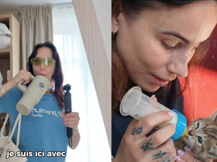 Pour la 5e fois, Ultra Premium Direct organise un voyage avec des créateurs