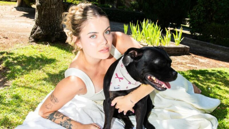 Avec la marque French Bandit, la YouTubeuse Romy imagine des produits pour les animaux