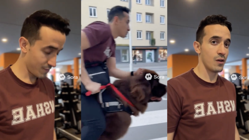 Tibo InShape a réalisé son visage 3D sur Sora2 incitant à la publication de contenus « lunaires » sur TikTok