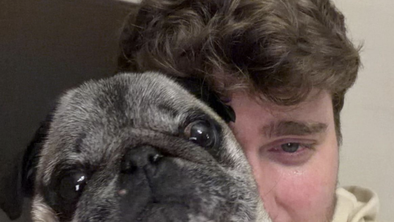 Le faux enlèvement d’Albert: comment Cyril Schreiner a trompé sa communauté