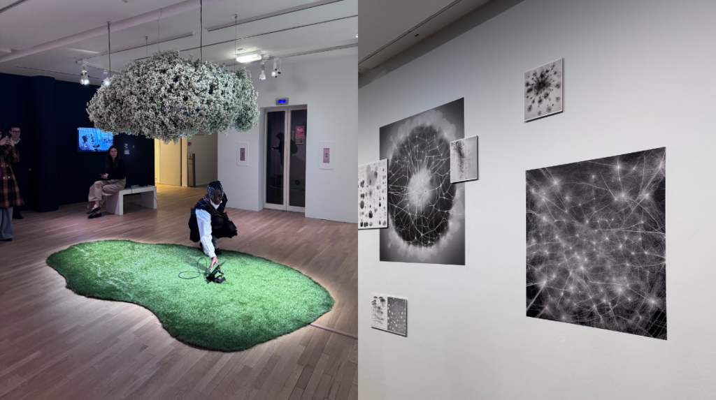 exposition-reseaux-sociaux