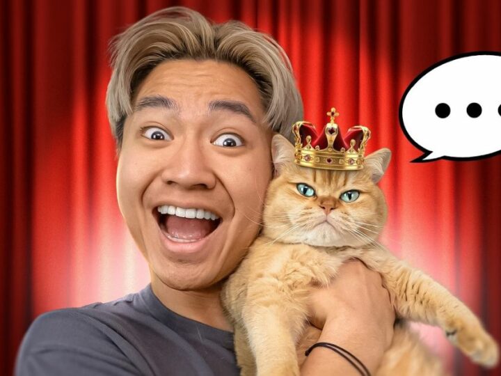 Sheba fait appel à des influenceurs pour renforcer leur lien avec leur chat