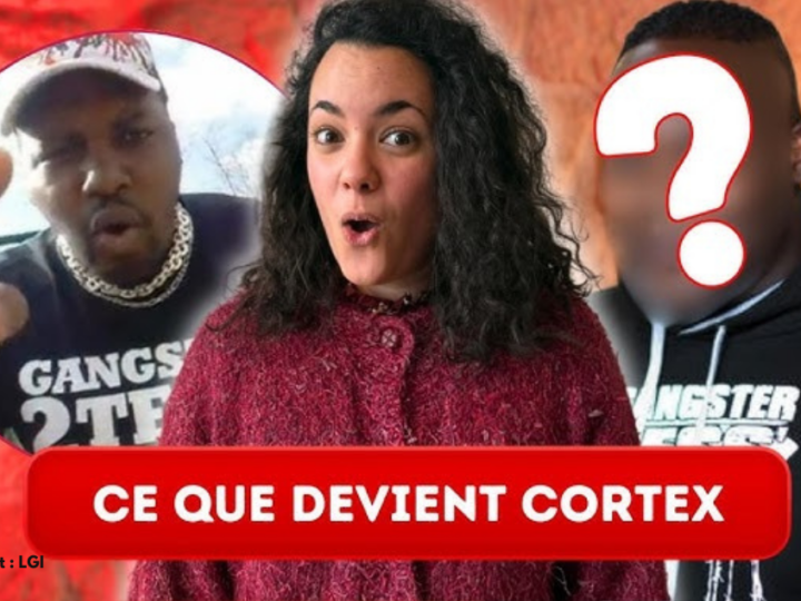 Cortex, le premier hater des YouTubeurs: que devient-il aujourd&rsquo;hui?