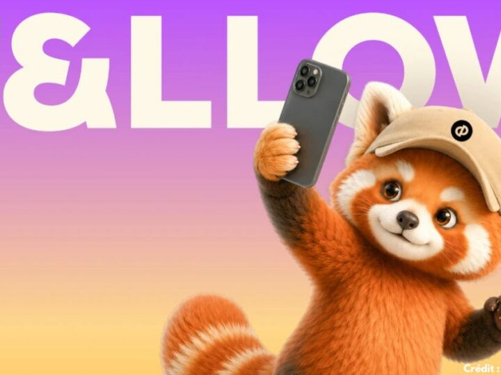 Qu&rsquo;est-ce que Fellow, la nouvelle offre de Castor & Pollux dans la Creator Economy ?