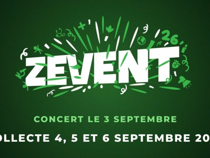 Les donation goals des streamers qui participent à la dernière édition du ZEvent